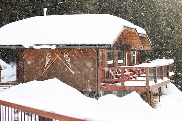 Mount Engadine Lodge Cabins covered in fluffy snow