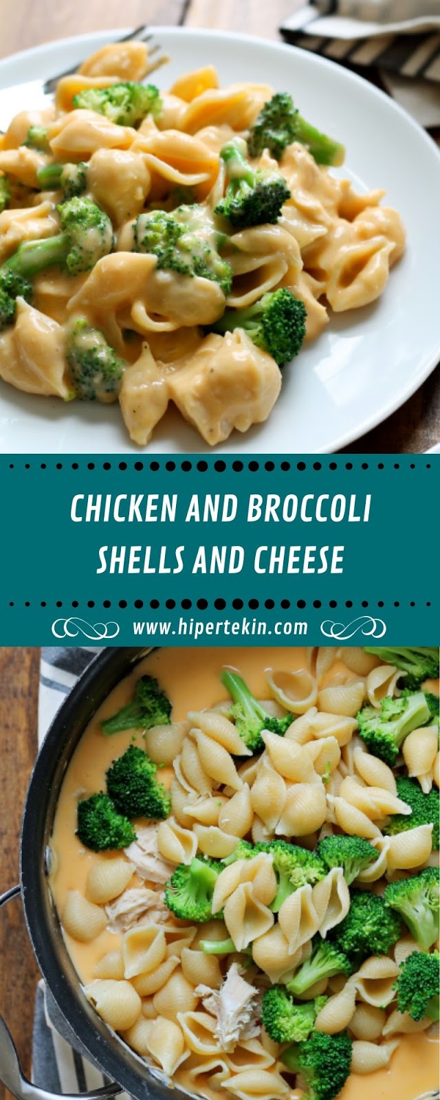CHICKEN AND BROCCOLI SHELLS AND CHEESE CHICKEN AND BROCCOLI SHELLS AND CHEESE