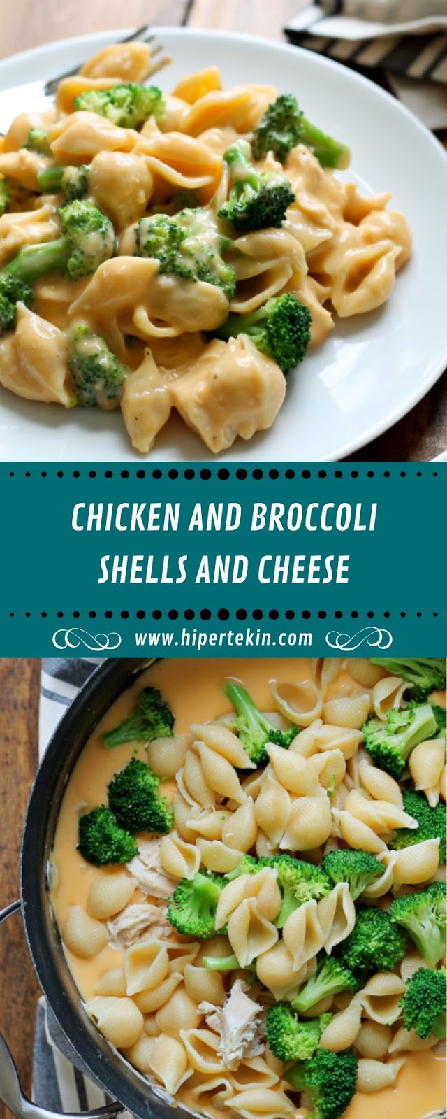 CHICKEN AND BROCCOLI SHELLS AND CHEESE