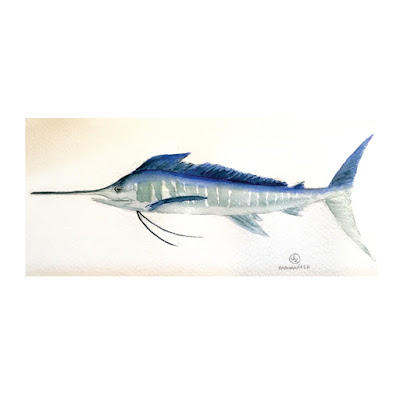 Blue Marlin is an original watercolor painting by Anawanitia