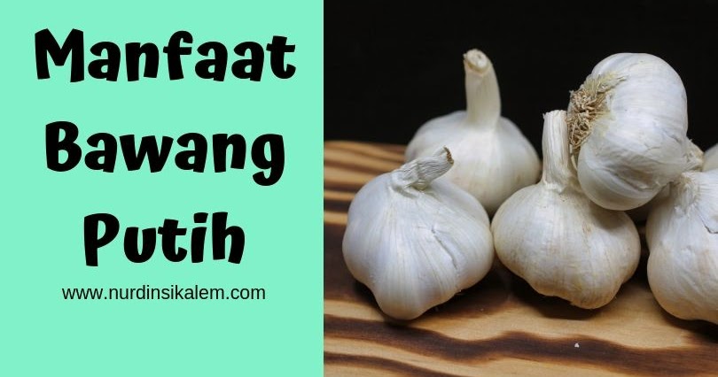 Maksud Mimpi Kambing Putih We did not find results for