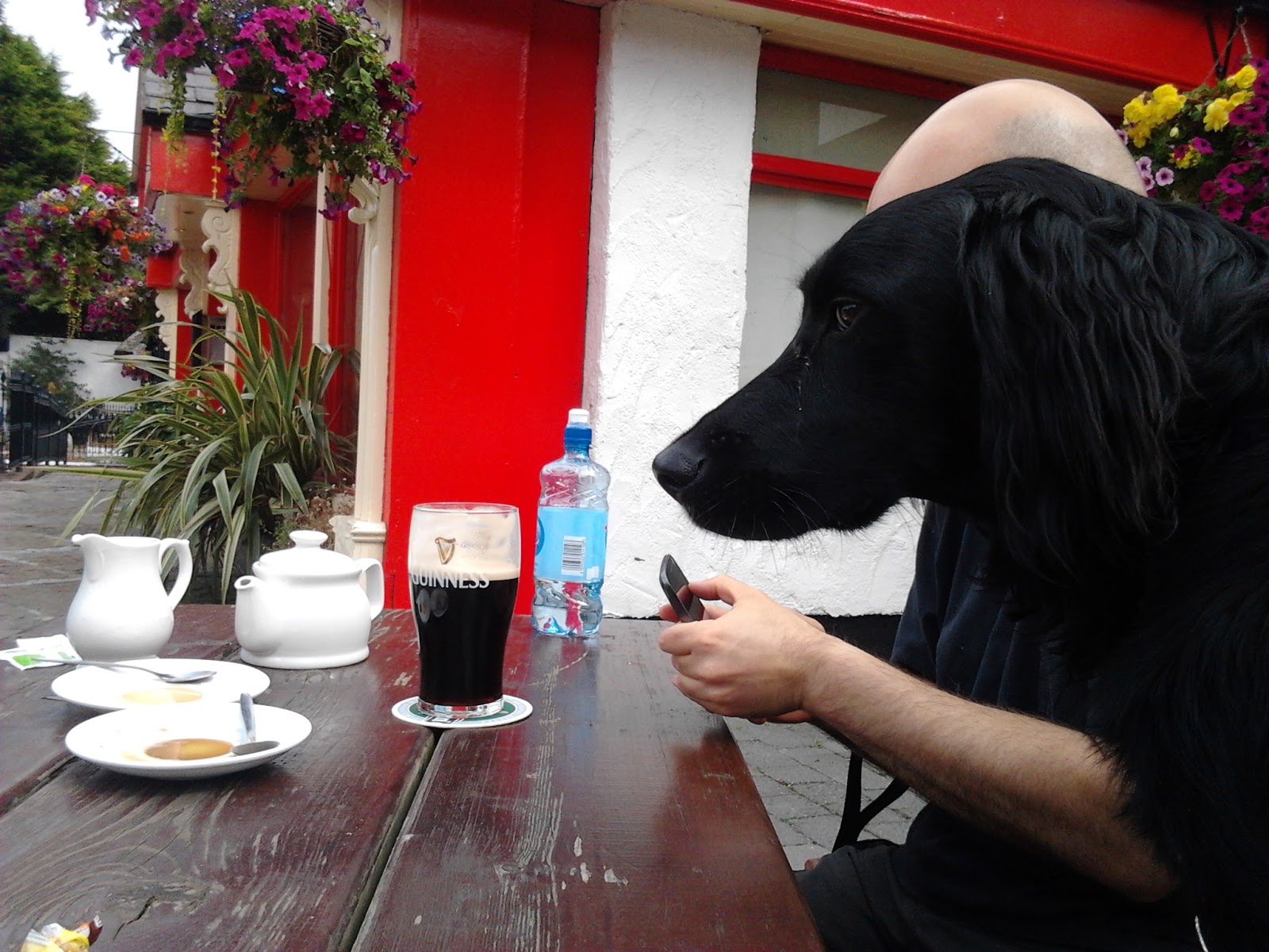 Dog friendly pubs / bar in Dublin A dog's paw