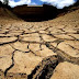 Severa sequía en el Cuerno de África
