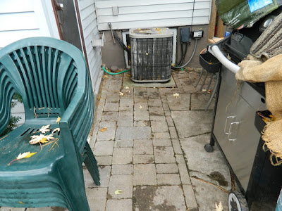 Greenwood-Coxwell Toronto Fall Cleanup Before by Paul Jung Gardening Services--a Toronto Organic Gardening Company Greenwood-Coxwell Toronto Fall Cleanup Before by Paul Jung Gardening Services--a Toronto Organic Gardening Company