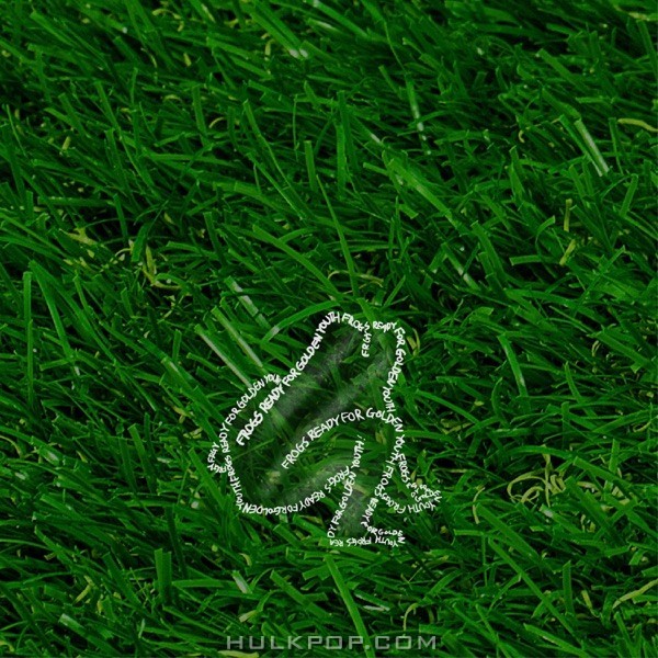 FROGGY COUNTRY – FROG, READY FOR GOLDEN YOUTH. – EP