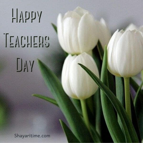 teachers day wishes