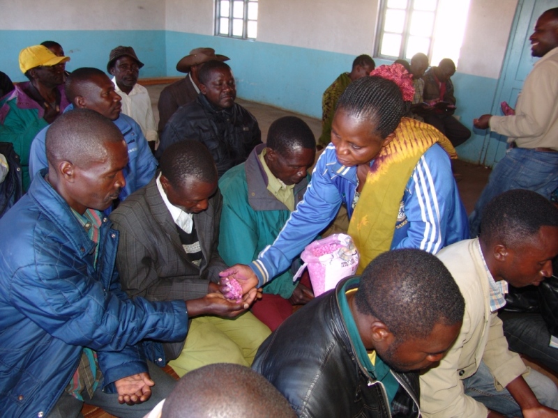 Mbeya Yetu KAMPUNI YA HIGHLAND SEED GROWERS LTD YALETA NEEMA KWA