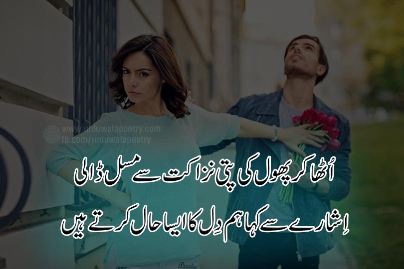 Top 10 Poetry on Flowers in Urdu Rose Poetry Phool Shayari