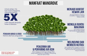 mangrove center graha indah