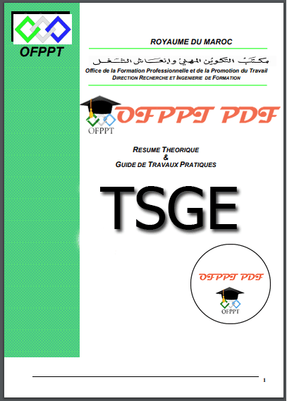 Technicien Specialise En Gestion Des Entreprises Tsge