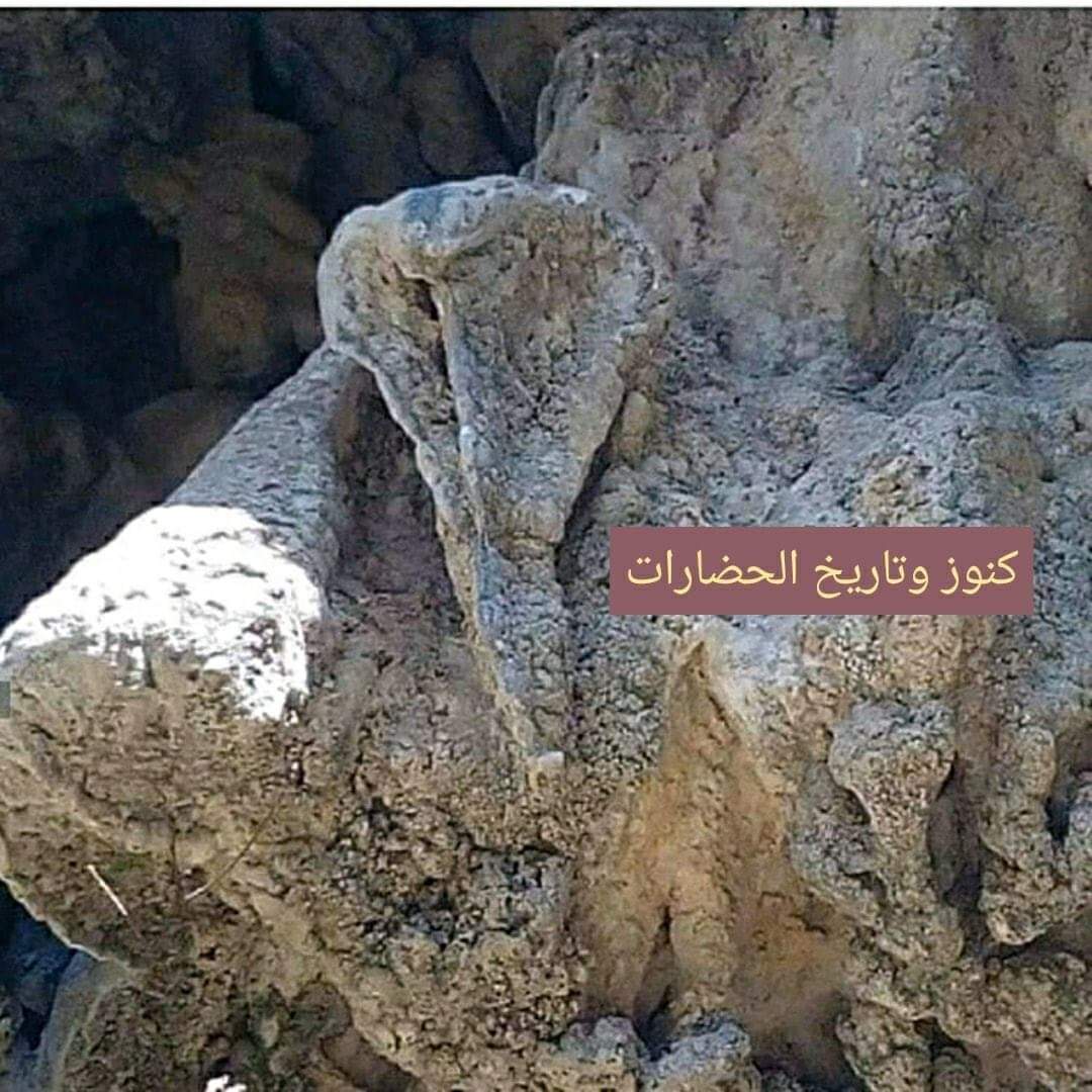 تحليل الاشارات لعشرة صور الشرح بالتفصيل الكامل