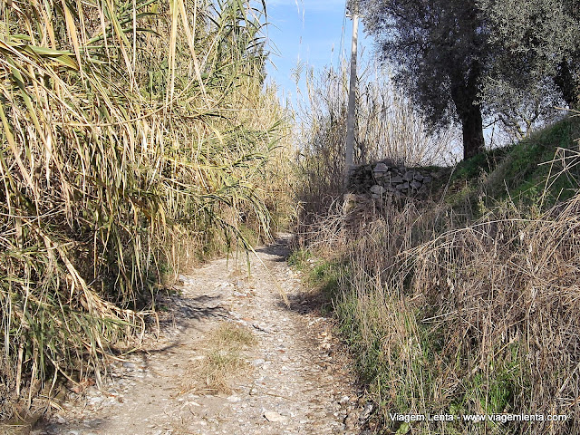 Parte final da estrada explorada