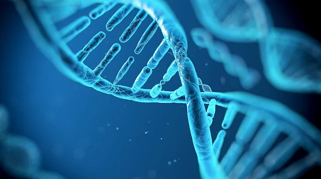 https://www.oblogdomestre.com.br/2018/05/AcidoDesoxirribonucleico.DNA.CienciaESaude.html
