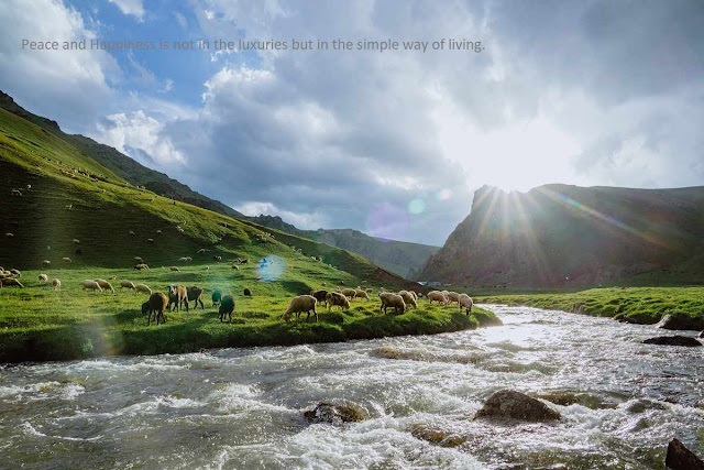 sunrise through mountain water stream and animal