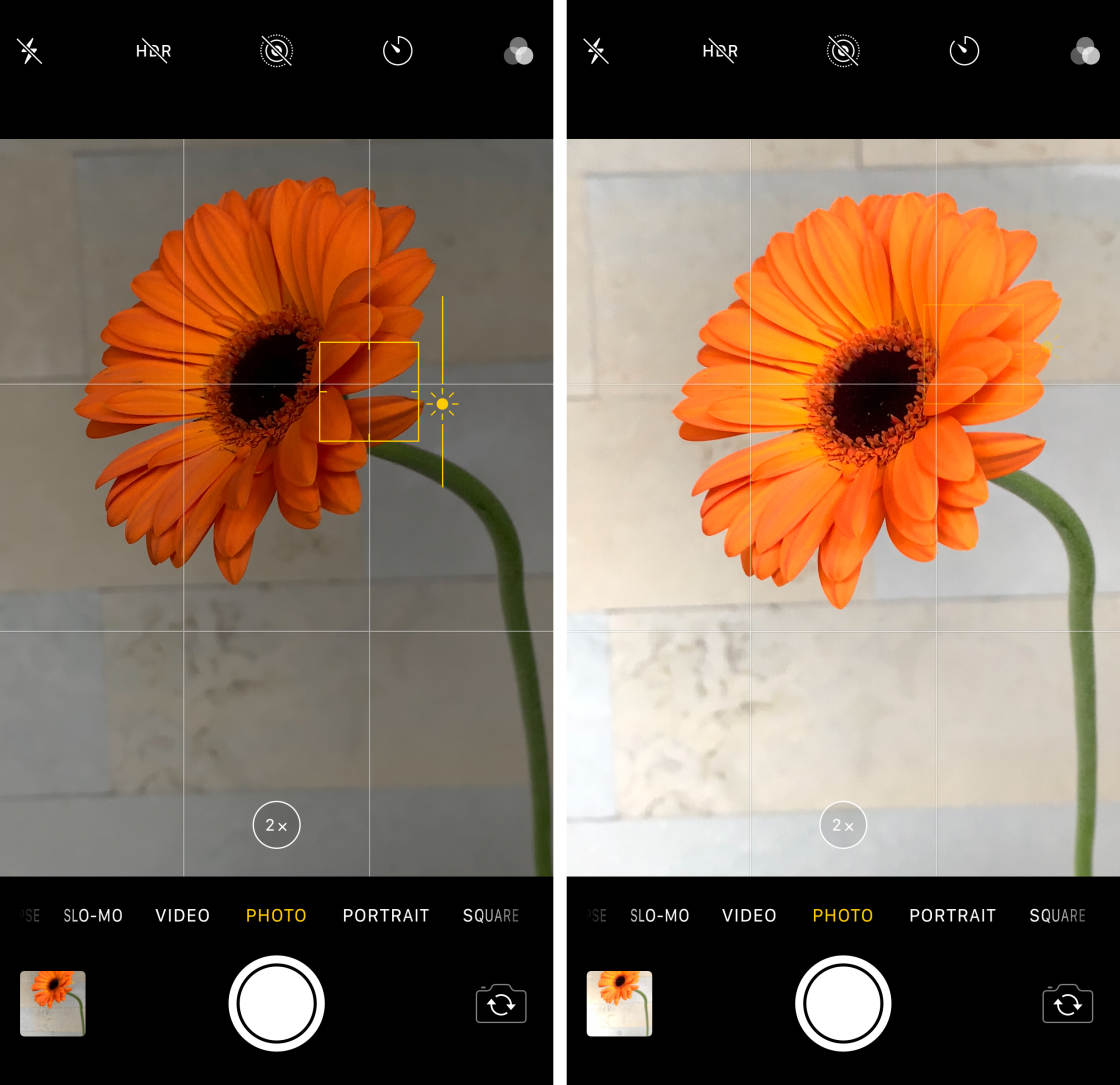 Five of the Best Camera Apps on iOS
