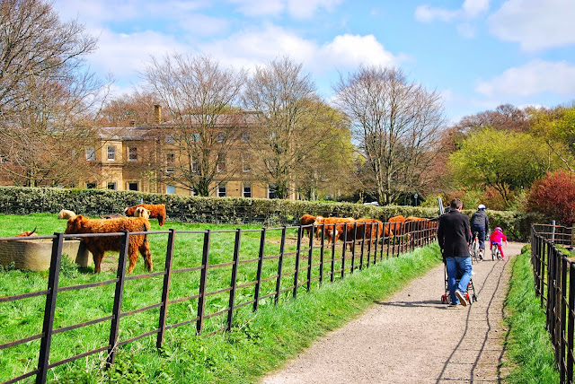 Things to do with kids in sheffield