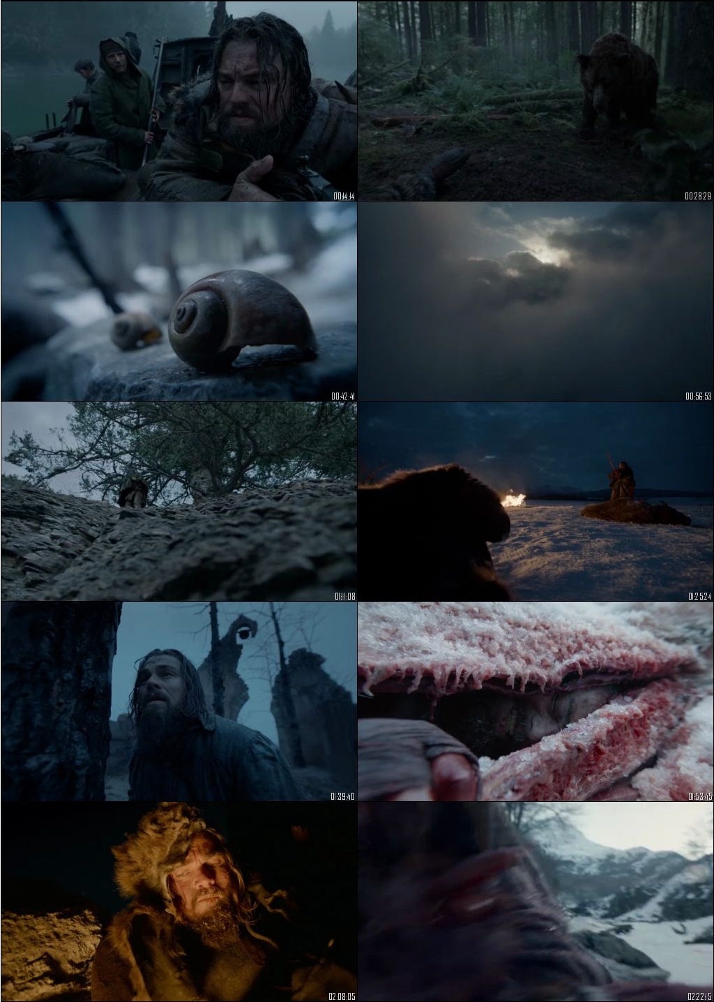 The revenant dual audio hindi 720p khatrimaza