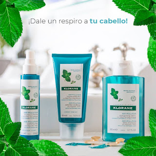 ¿Necesitas detoxificar tu cabello"