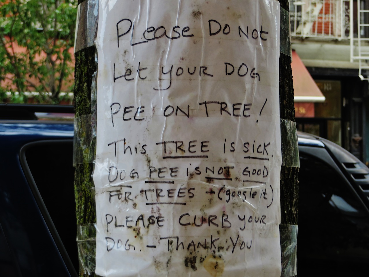 EV Grieve Google dragged into dog peetree spat on East Fourth Street
