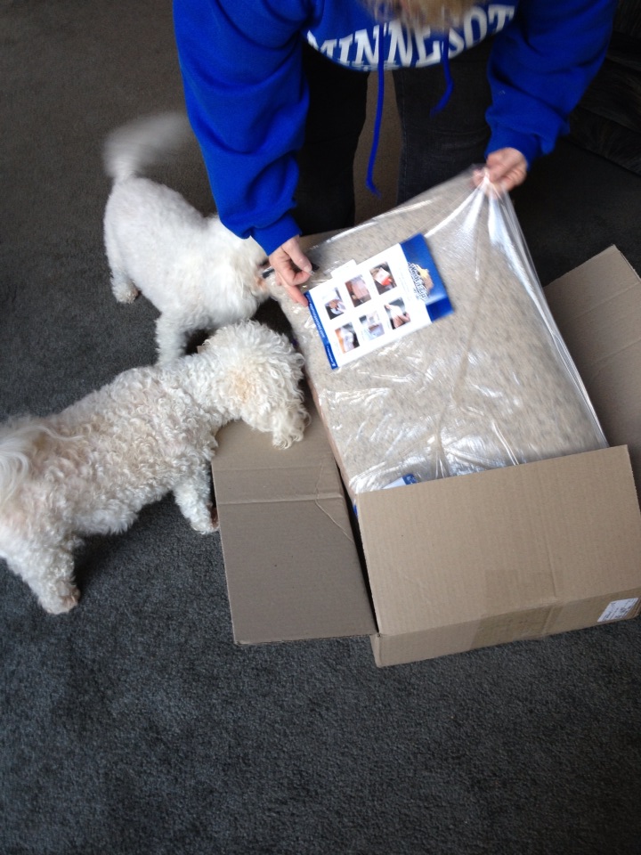 bichonpawz Wash N Zip Pet Bed Review!