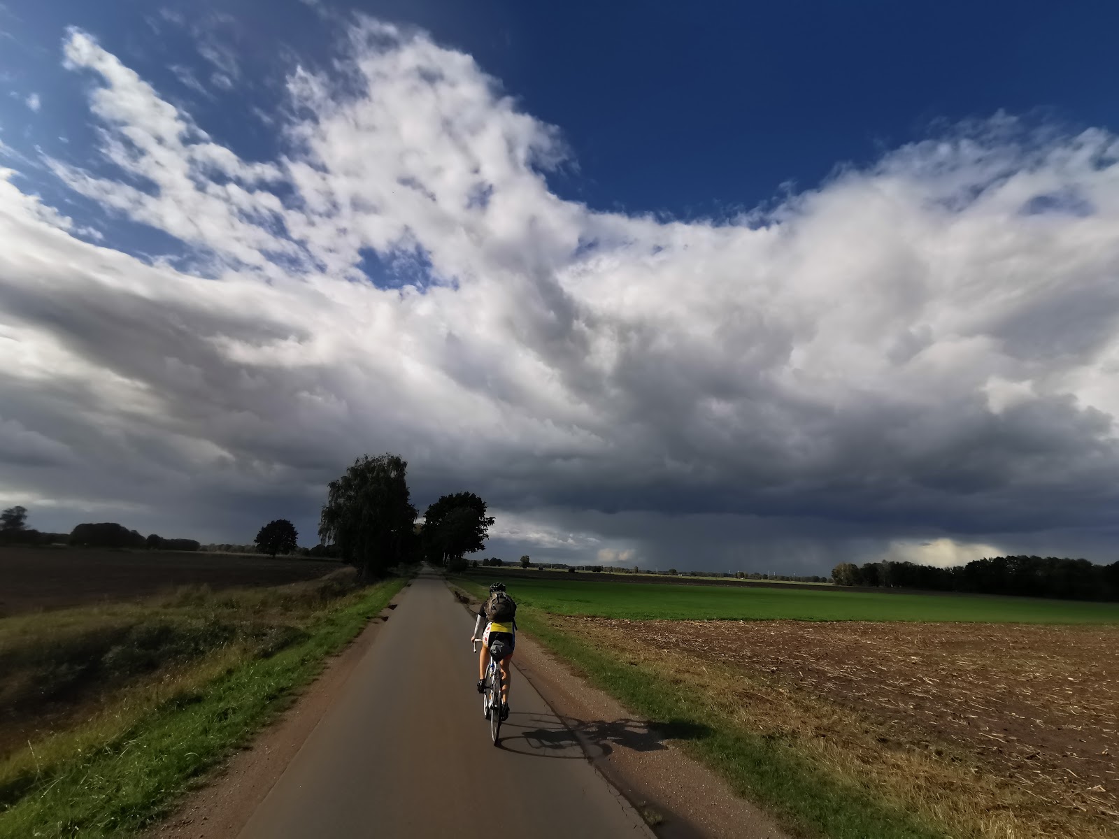 Calluna Magazin Neues Trittsteinbiotop An Der Fuhse In Altencelle