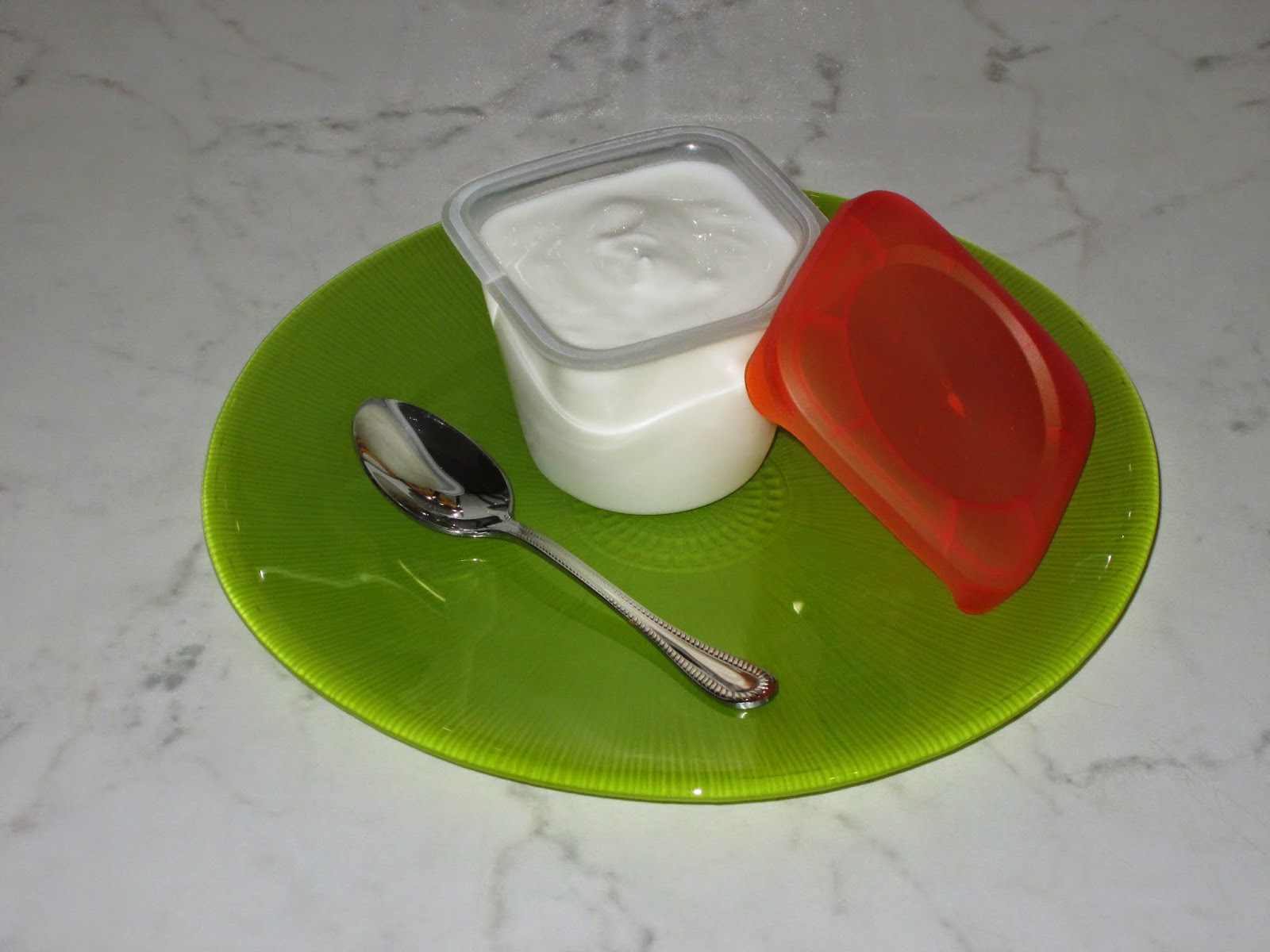 il girasole YOGURT BIANCO FATTO IN CASA (CON LA YOGURTIERA)