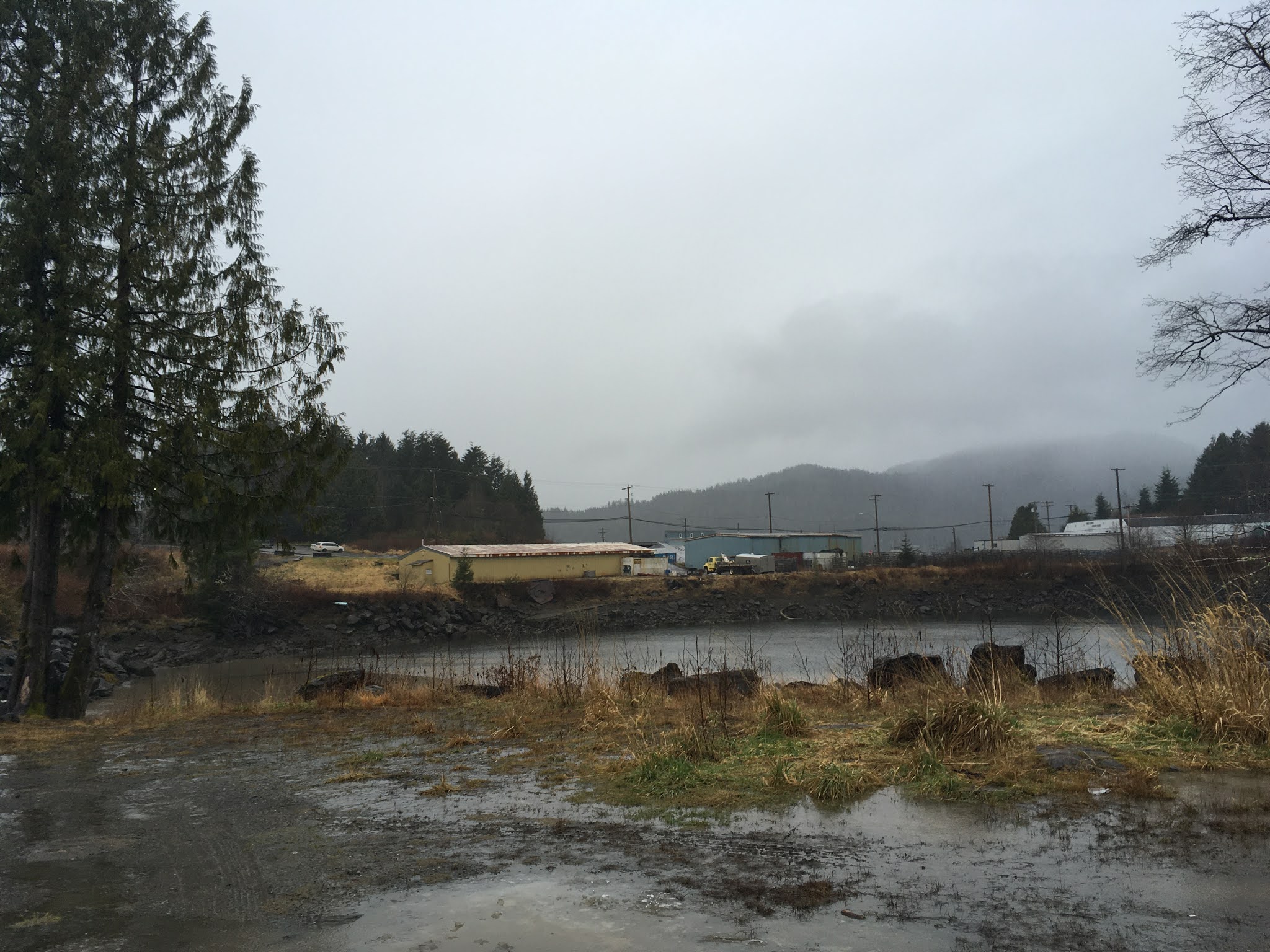 North Coast Review Seal Cove revitalization project underway with