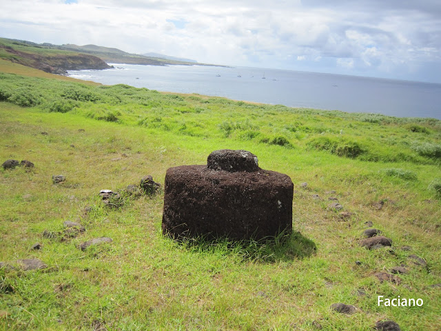 Easter Island復活節島,法姿優乾洗頭乾洗髮