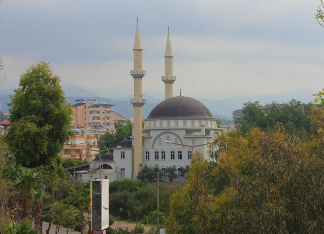 مسجد السليمانية الانيا