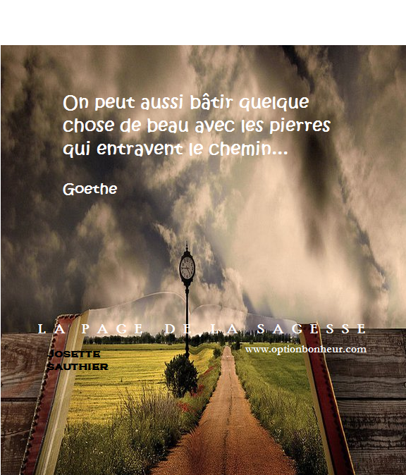 LES PANNEAUX ROSES de JOSETTE SAUTHIER Citation de Goethe