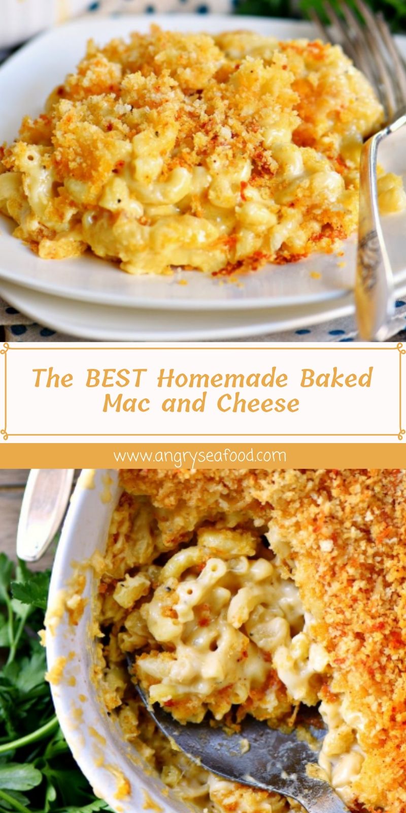 The BEST Homemade Baked Mac and Cheese The BEST Homemade Baked Mac and Cheese