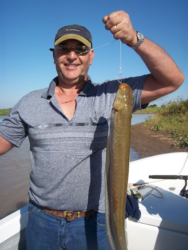 PESCANDO CON HIRAM : Taruchas, tarariras, dientudos o tarangos...