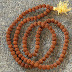 EVERY THING YOU NEED TO KNOW ABOUT RUDRAKSHA