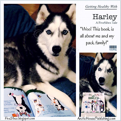 fivesibes.blogspot.com