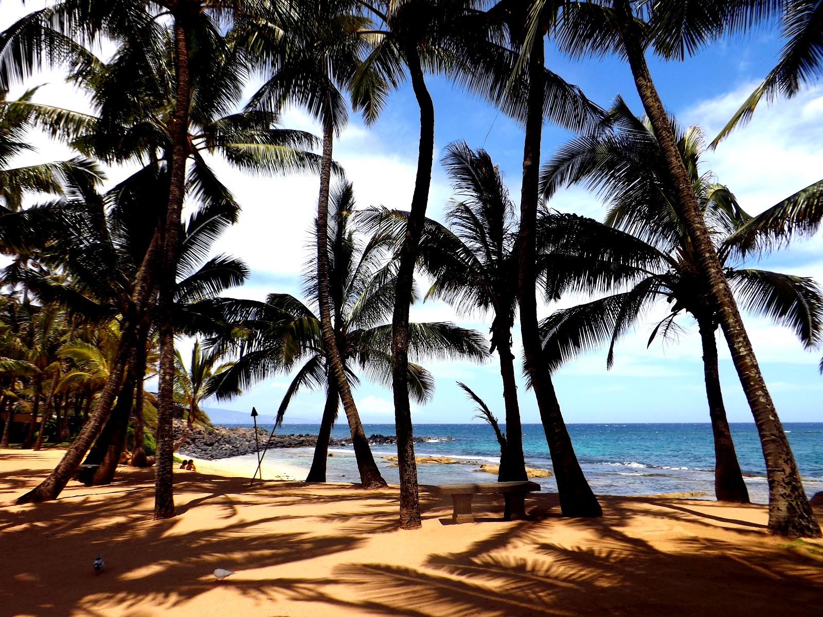 sea house maui