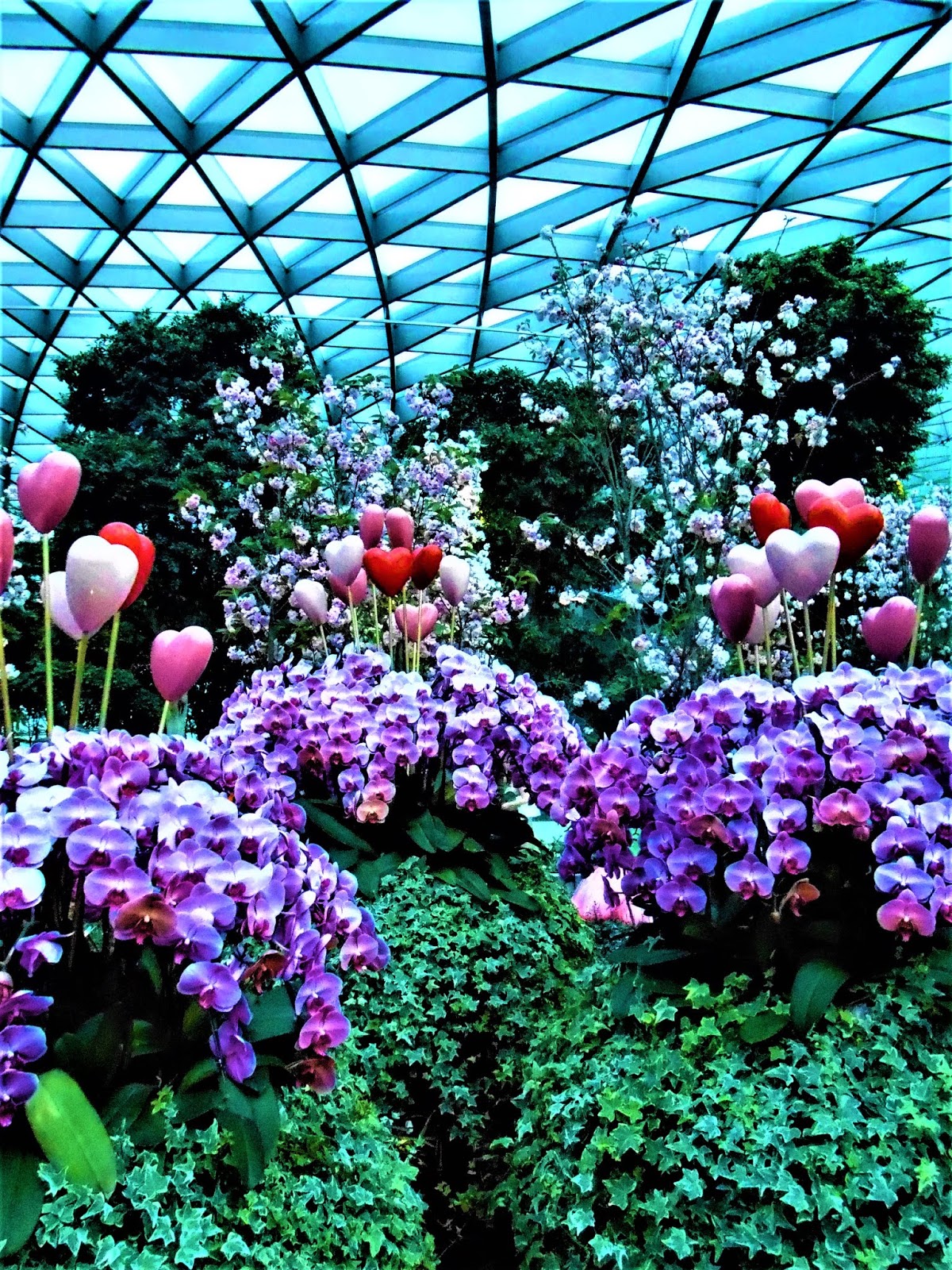 **mirroring mists** flowers of Changi's JEWEL