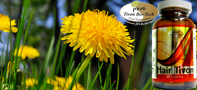 ויטמינים לחיזוק השיער