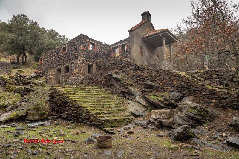 BICHOS Y MAS VLC DE PASEO POR EL BOSQUE ENCANTADO DE LA DEHESA DEL