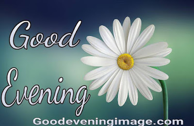 Good evening Pictures with flowers Good evening pictures with flowers