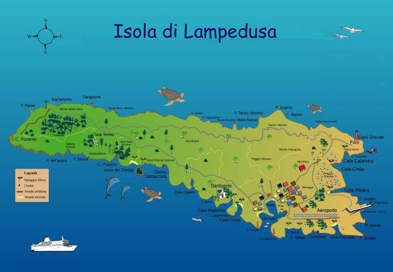 " La lengua es un ojo " W.Stevens Lampedusa