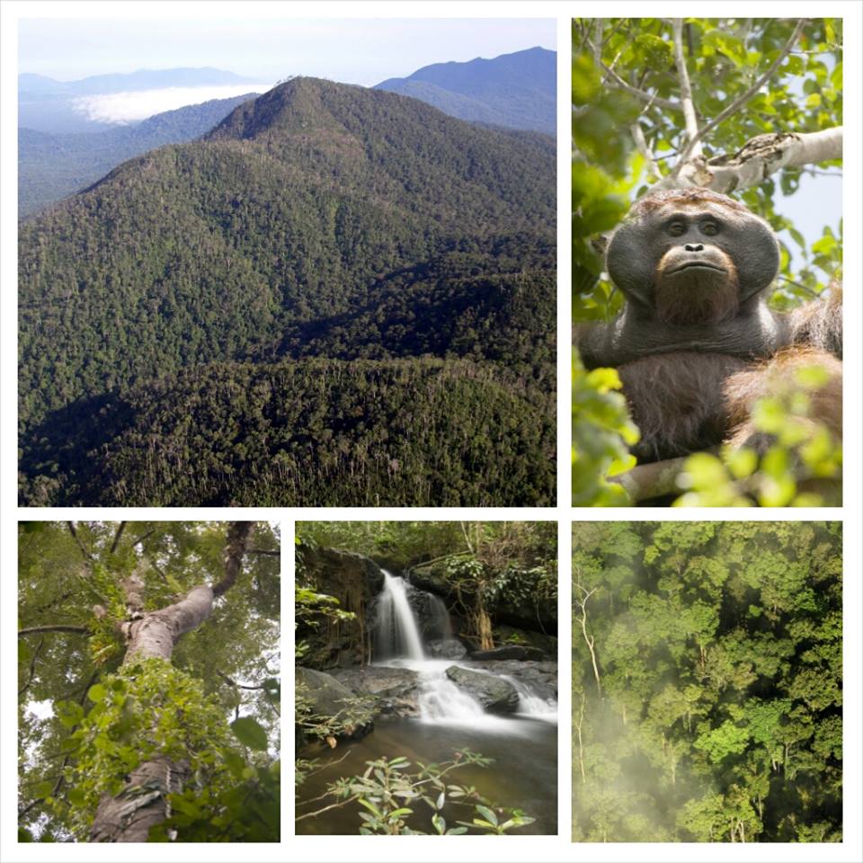 Gunung-gunung di Kalimantan Barat - BorneoScape