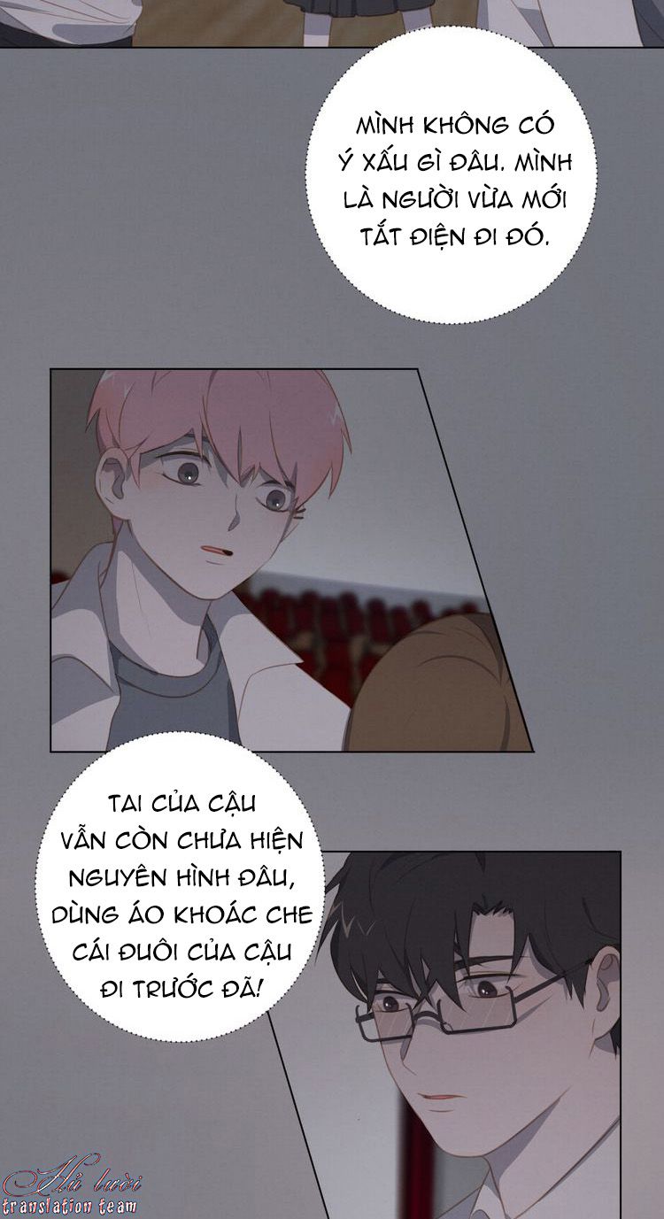 Đọc truyện Thế giới của một chú mèo - Chapter 19