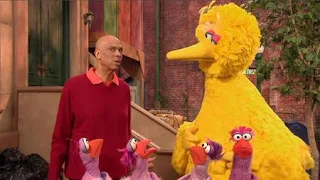 Kareem Abdul Jabbar shows Big Bird subtraction with four birds. the Word on the Street Subtraction, Sesame Street Episode 4323 Max the Magician season 43