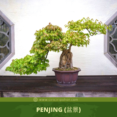 Penjing