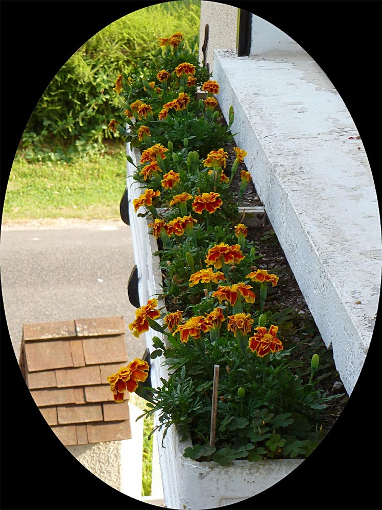 Living the life in Saint-Aignan: Relief