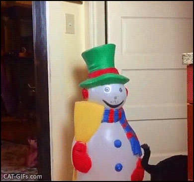 Christmas Cat GIF • Amazing ‘Leapfrog’ can jump over anything with...Xmas spirit! Christmas Cat GIF • Amazing ‘Leapfrog’ can jump over anything with...Xmas spirit!