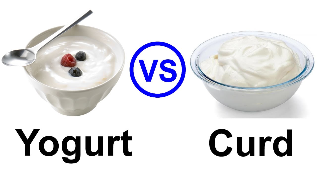 Is yogurt and curd are different Rizwan shoping center