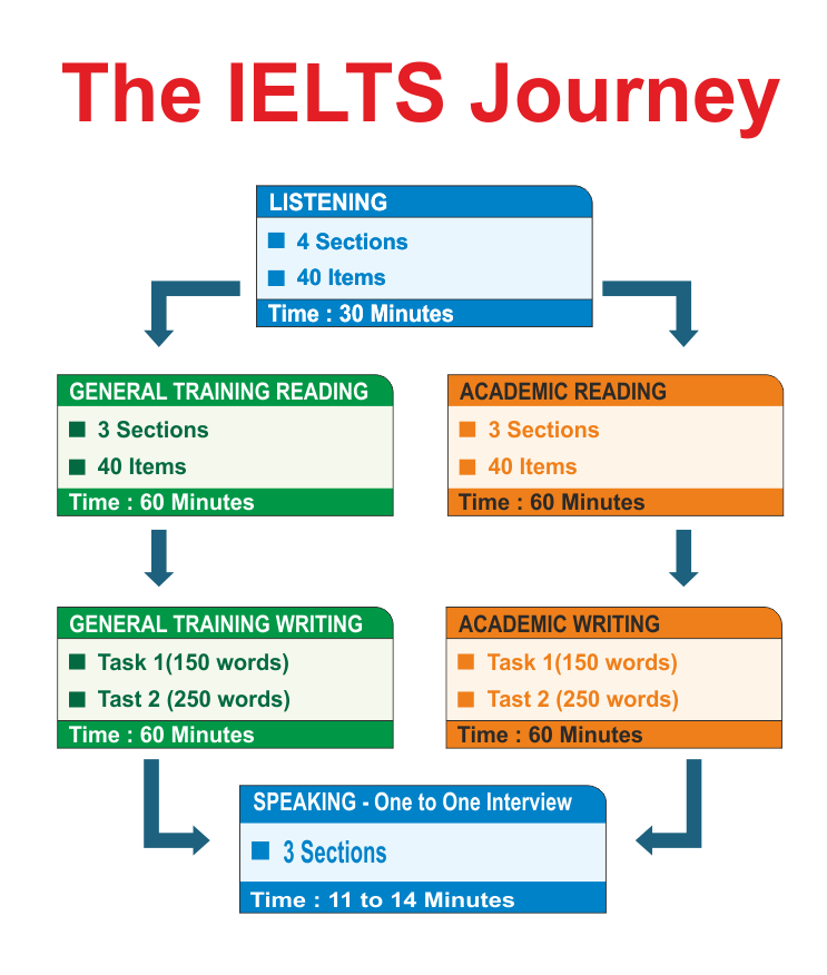 Government essay ielts image