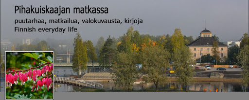 Pihakuiskaajan matkassa